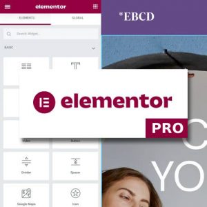 Elementor PRO